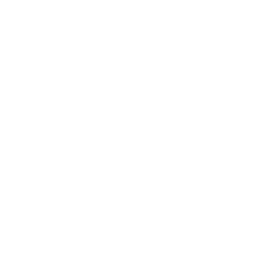 Boss Gloves