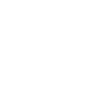 Premium Retail Services