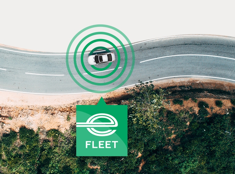 Enterprise Fleet Management