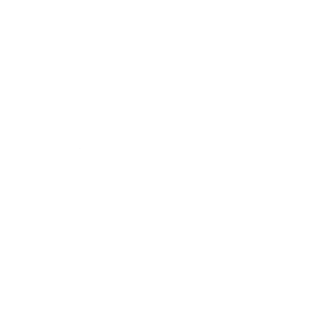 Enterprise Fleet Management