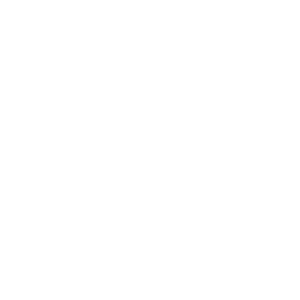 LexisNexis Payment Solutions