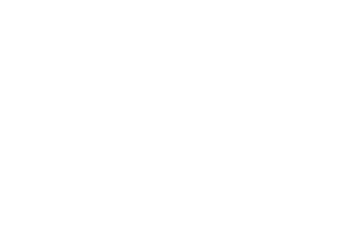 Loaded Elevated Nachos