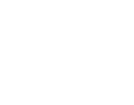 City Museum