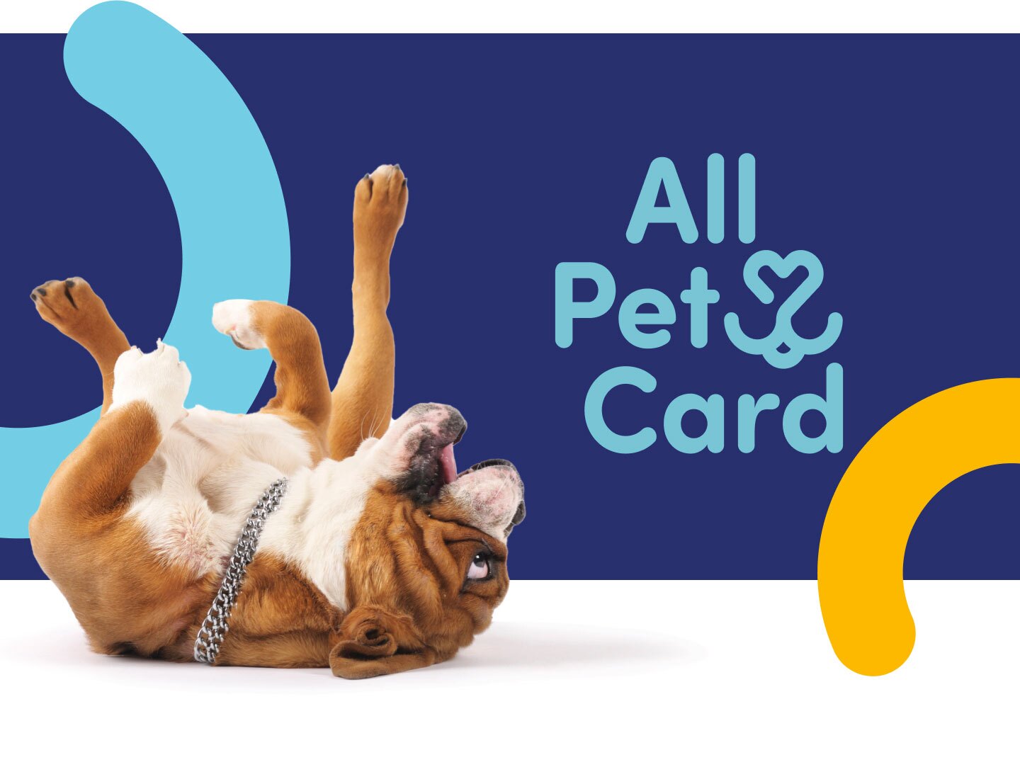 All Pet Card Branding by Atomicdust