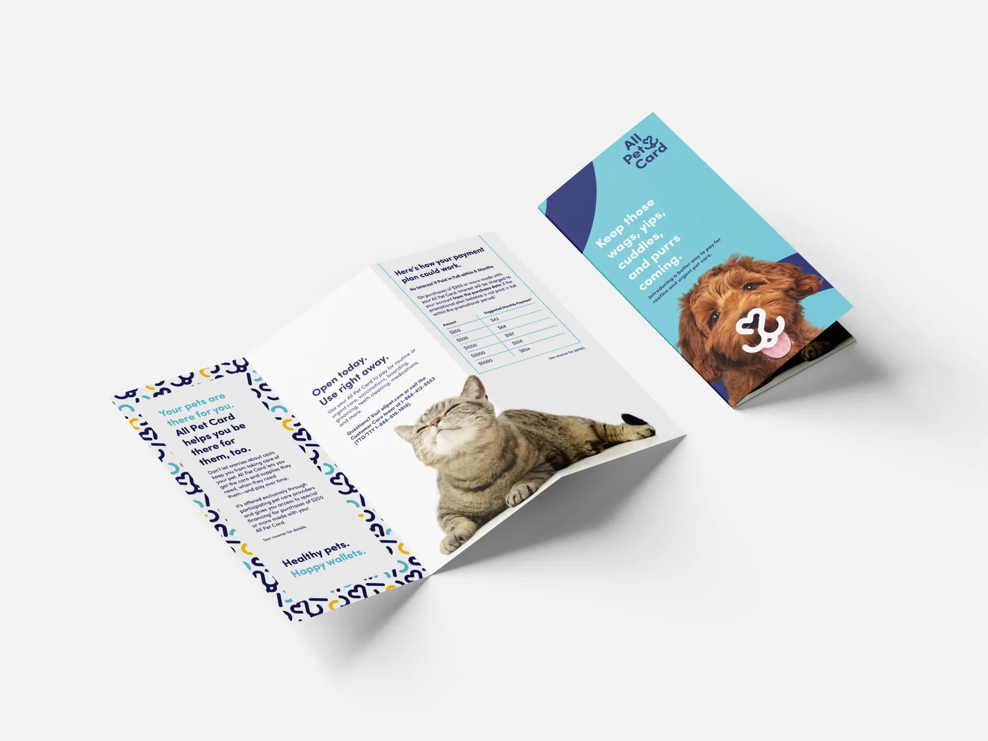 All Pet Card branded trifold brochure