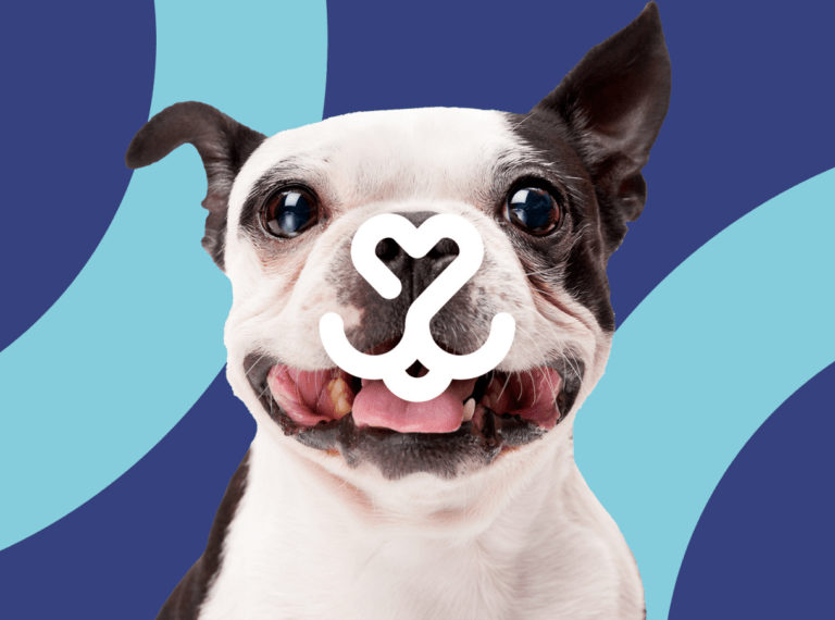 All Pet Card