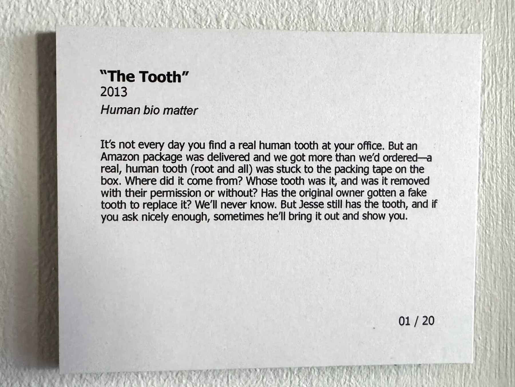 Printed museum-style exhibit placard titled “The Tooth” mounted on an Atomicdust office wall